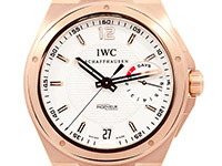 INGENIEUR