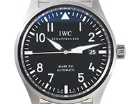 IW325504