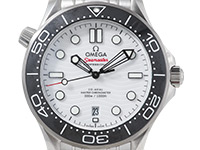 SEAMASTER 300